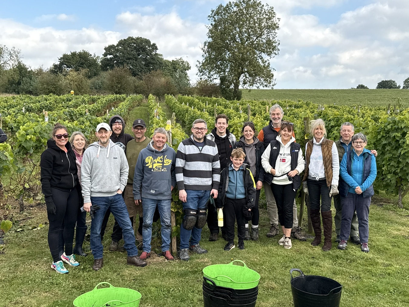 Family, friends and volunteers gathering grapes at harvest